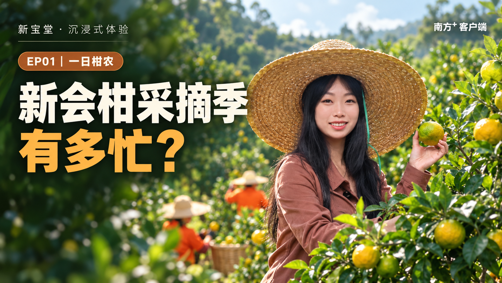新宝堂沉浸式体验视频封面
