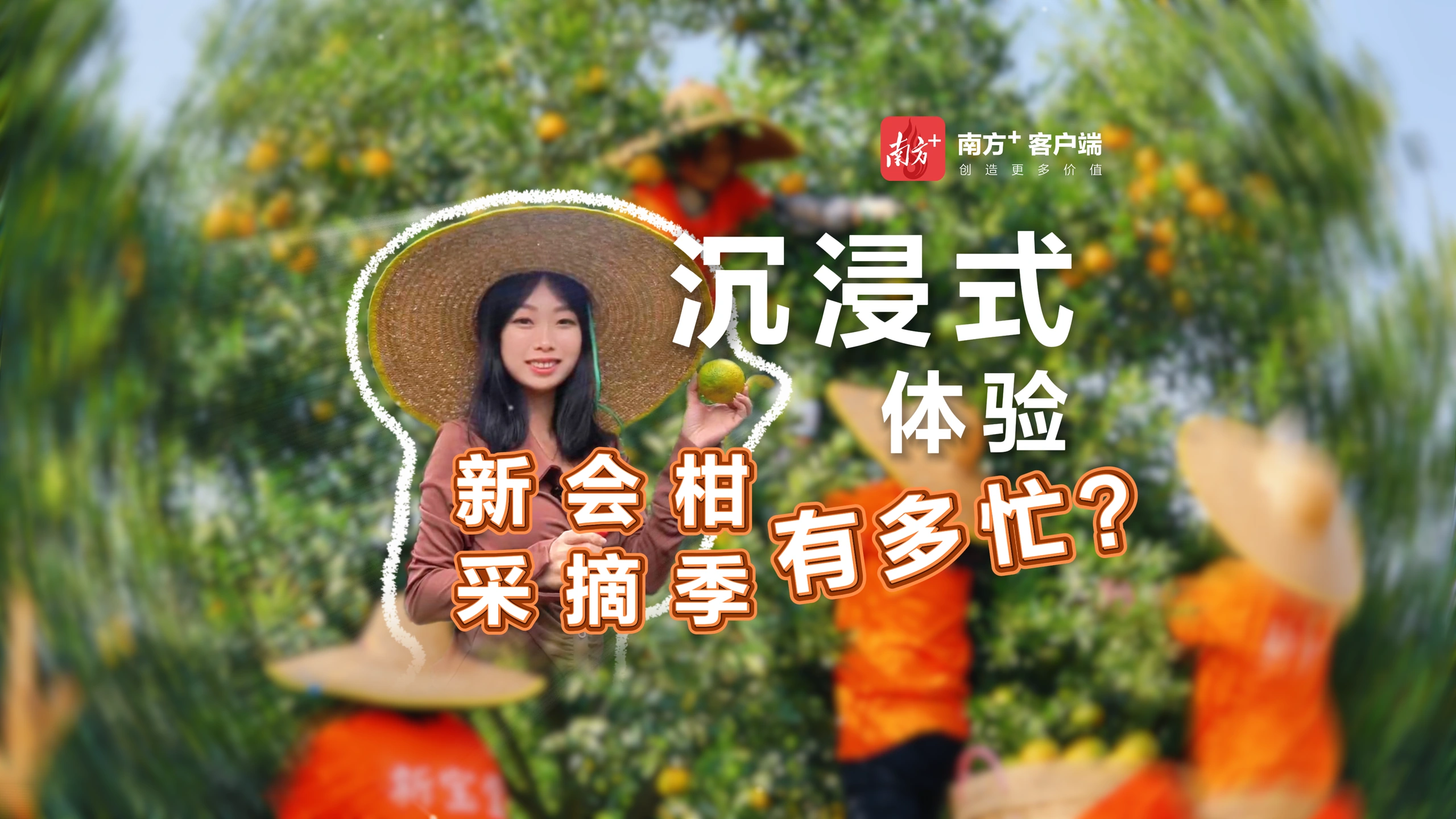 新宝堂：好“皮”气 · 好生活作品画面